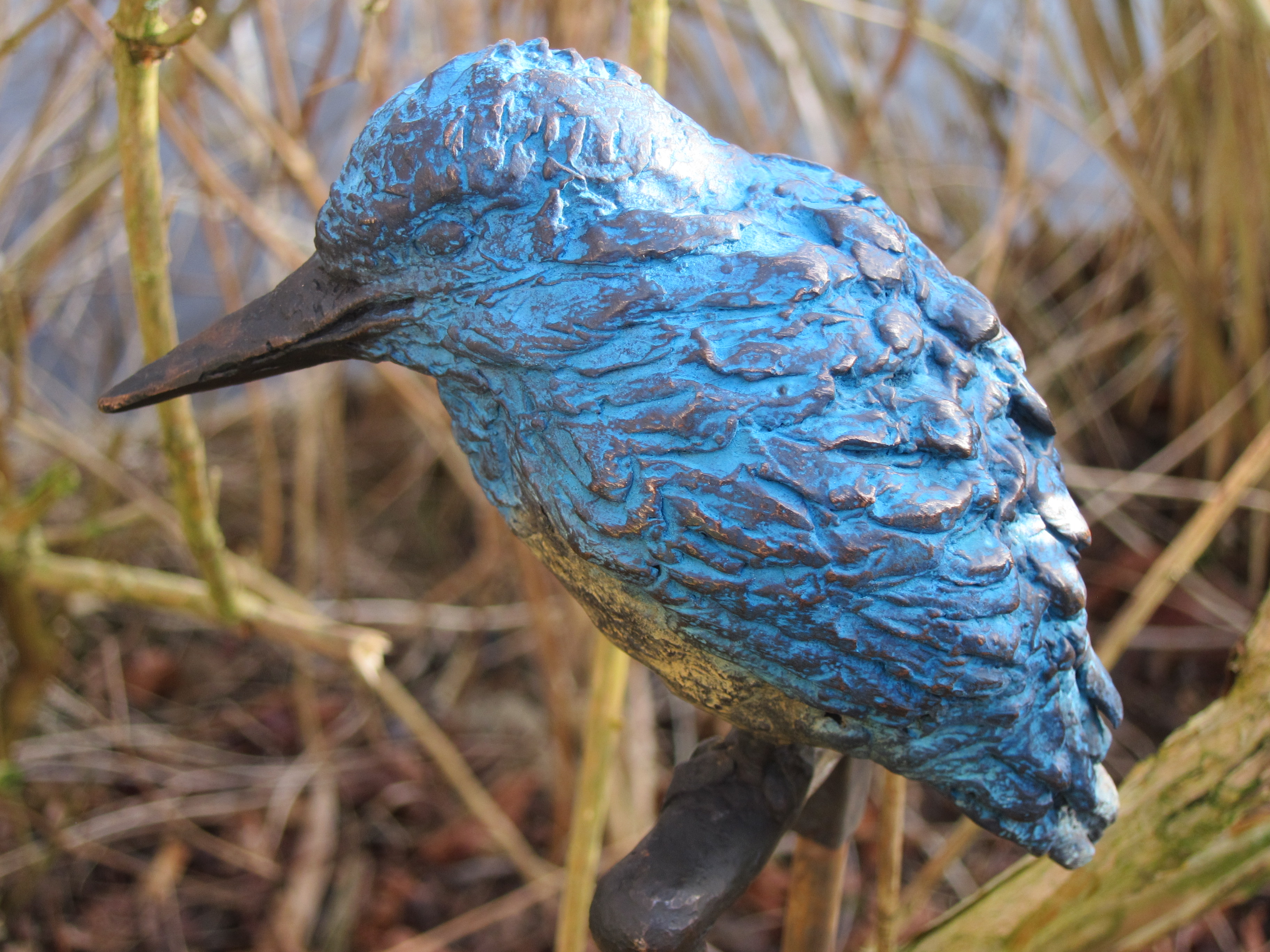 IJsvogel