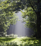 De natuur in al haar prachtige vormen en kleuren.