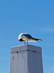 Soms gaat het nemen van een foto niet helemaal als gepland, maar levert wel een leuk plaatje op. En soms kom je gewoon grappige onderwerpen tegen.