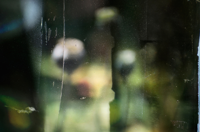 Tuin 1