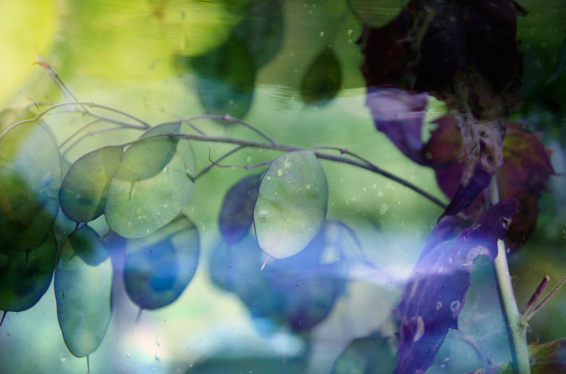 Tuin 6