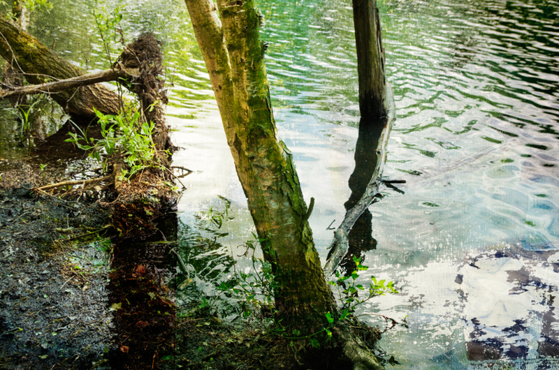 Bewerkt landschap 1