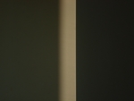 Door muren te fotograferen, probeer ik een minimaal inzicht te verwerven in de al dan niet objectiverende eigenschappen van de fotografie. Ik zie muren (vooral interieur) als de grootste ons omringende 'Beelden'.