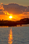 Nederlandse landschappen, overdag, 's avonds en 's nachts.