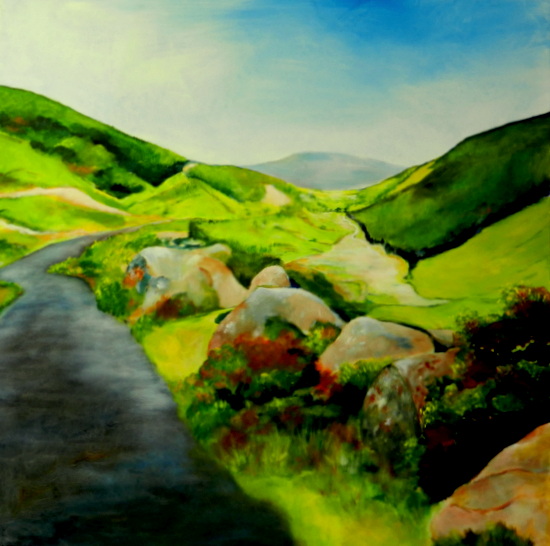Ierland Wicklow Mountains