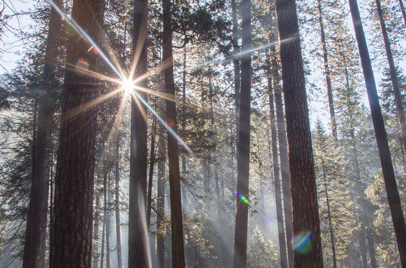 Zonneschijn na regen Yosemity Park USA