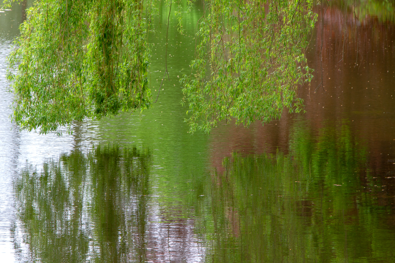 reflectie 01