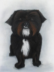 acryl en Pastel schilderijen