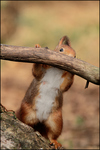Hier worden Foto's geplaatst met een beetje Humor.......