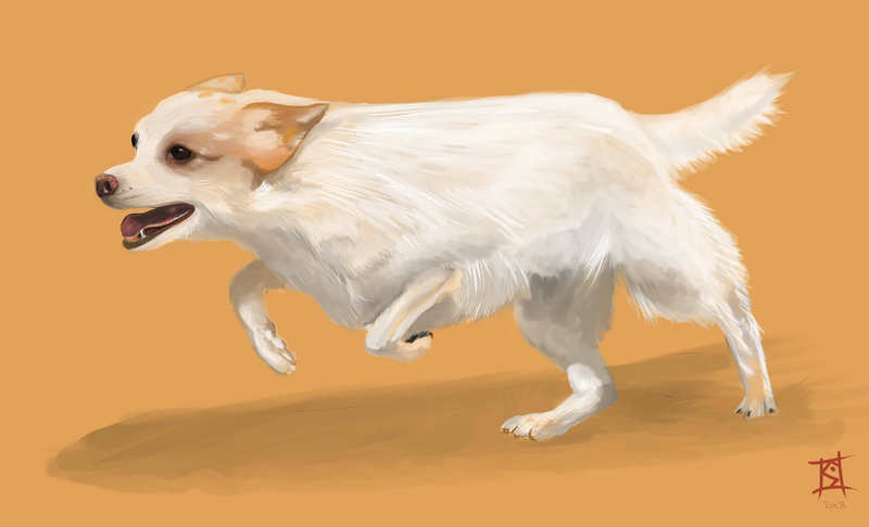 Marscha on the run