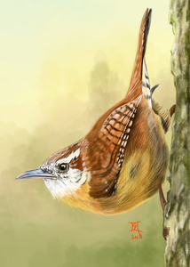 Vogels