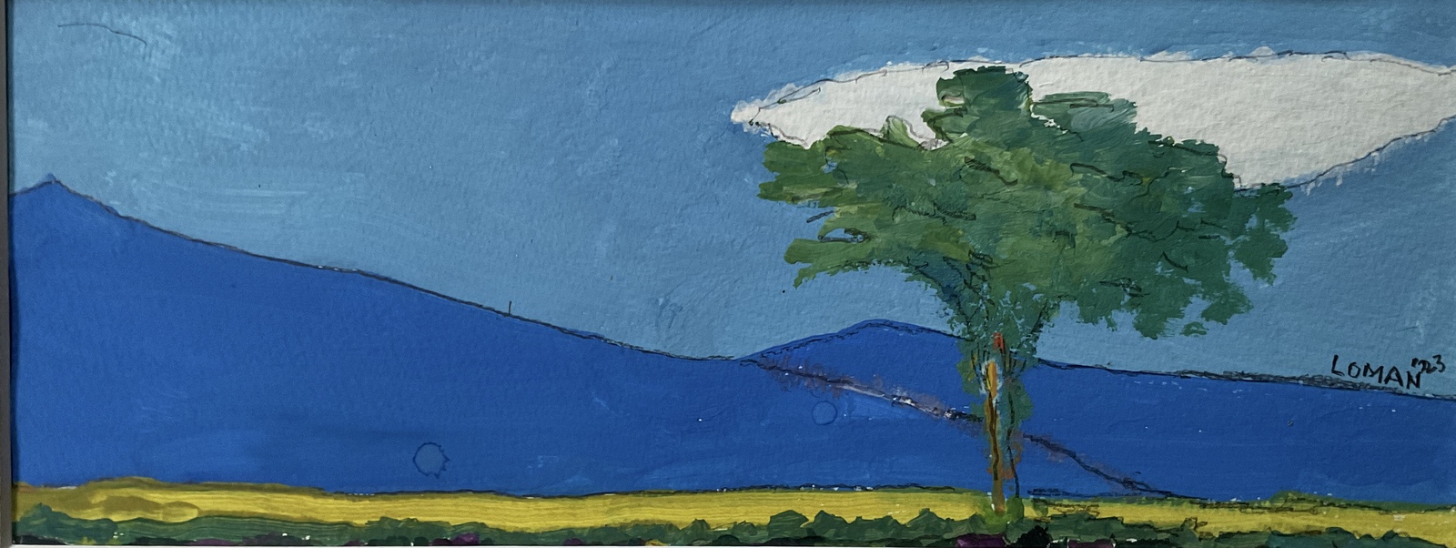 De boom in de Provence