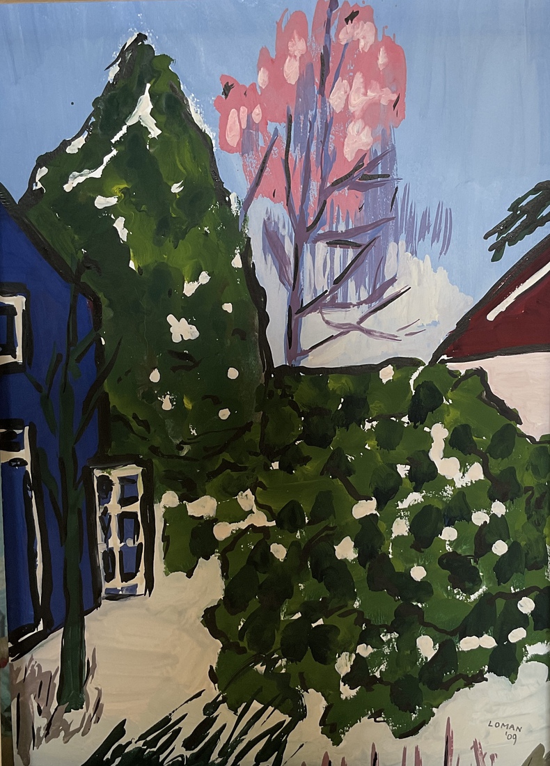 Het blauwe huis