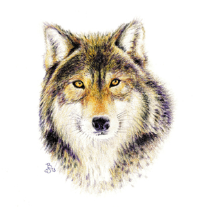 Symbolische tekeningen van dieren