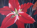 bloemen......welke ik tegenkwam op mijn pad: de plek waar ze tot bloei komen, solitair, in een groep, de kleur, de vorm, in een lied, in een betekennis die daaraan wordt gegeven, het ontluiken, het verval....bloemen ...