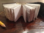 2015 was het jaar van het beeldboek: het verhaal verbeeld in een boek. Het boek zelf is het kunstobject waarin alle belevingen, herinneringen samenkomen.Met weinig of geen woorden vertellen ( hergebruikt )materiaal, beeld, vorm en binding het verhaal.
