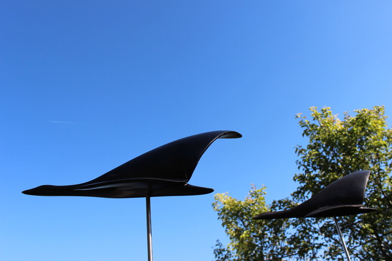 vogelvlucht