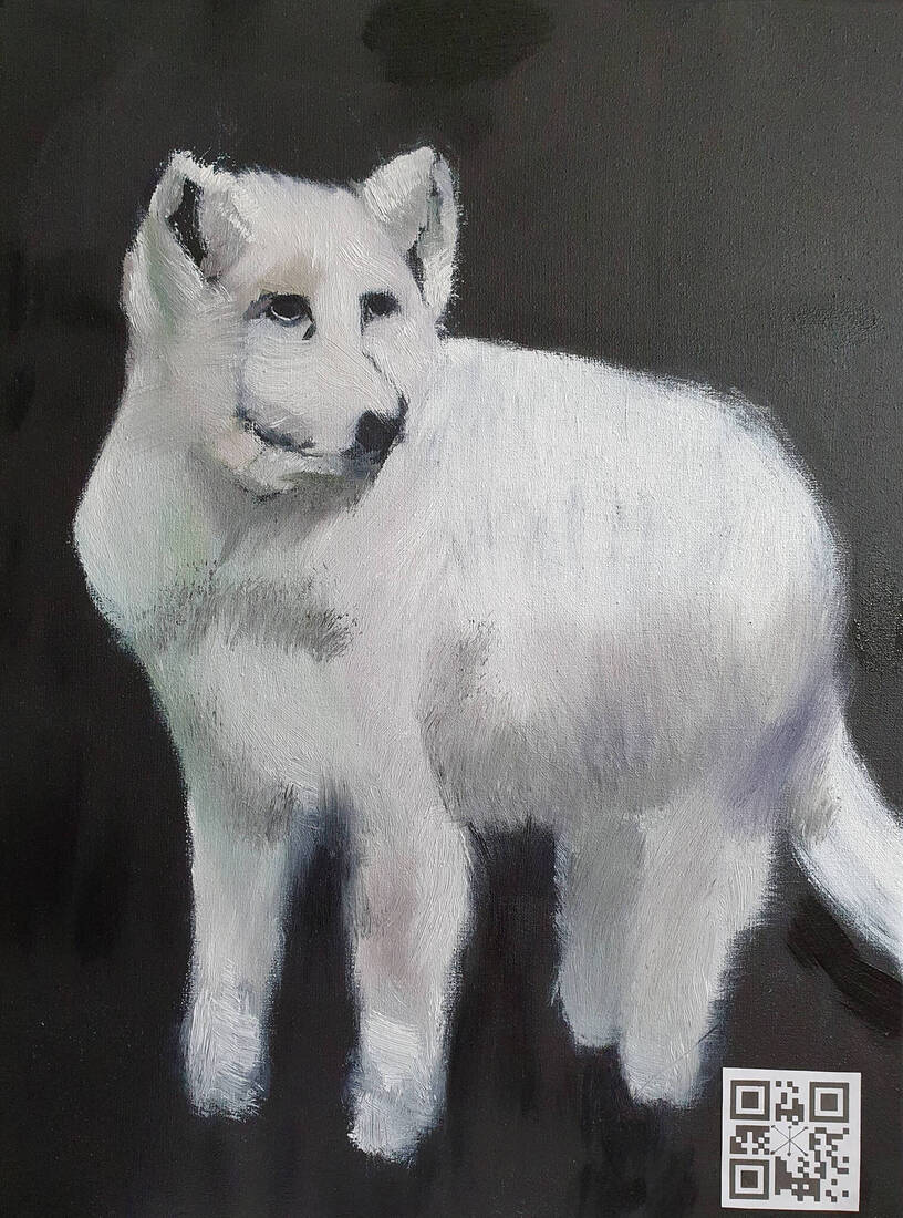 POLAR FOX JR.