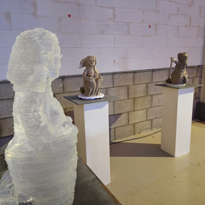 Concept idea of Bikkel Artist is to create two completely transparant figureheads (Man and Female) of glass in the maritime centre Loods M and in the centre of Maassluis.
Bikkel Artist is actively working with 3D scans and laser prints as part of their artistic studies, supported by Loods M.
Loods M, Govert van Wijnkade 44, Maassluis.