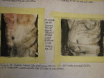 7 Sins