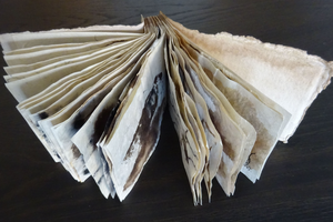 Een handgemaakt boekje bestaande uit ca 30 tekeningen. Gemaakt op handgeschept papier. De tekeningen zijn gebaseerd op de bijbelse plagen van Egypte, waarbij naar de relatie is gezocht met de huidige tijd. Hieronder vindt u een selectie.