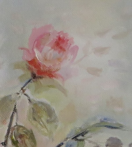 Veelkleurige Hollandse bloemen