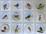 Op een paneel van 100/76 cm zijn deze 12 veelkleurige vogels bevestigd. Nu in de verkoop.