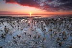 Texel 2014