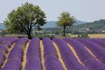 Frankrijk 2013