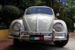 Mexico 2010