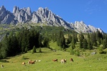 Oostenrijk 2011