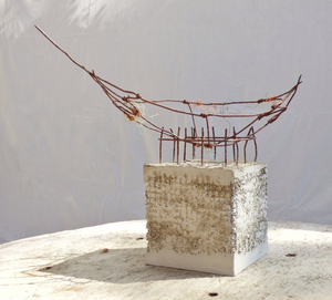 assemblages van natuurlijke materialen zoals gevonden hout en verroest ijzer