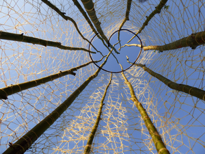 zo nu en dan een uitstapje naar andere materialen en formaten