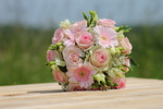 Gefeliciteerd! Jullie gaan trouwen Als trouwfotografe leg ik jullie dag tot in de kleinste details vast! Ik vind het belangrijk dat er een klik is tussen ons, en daarom maken we vooraf een afspraak om kennis te maken, en alles te bespreken!