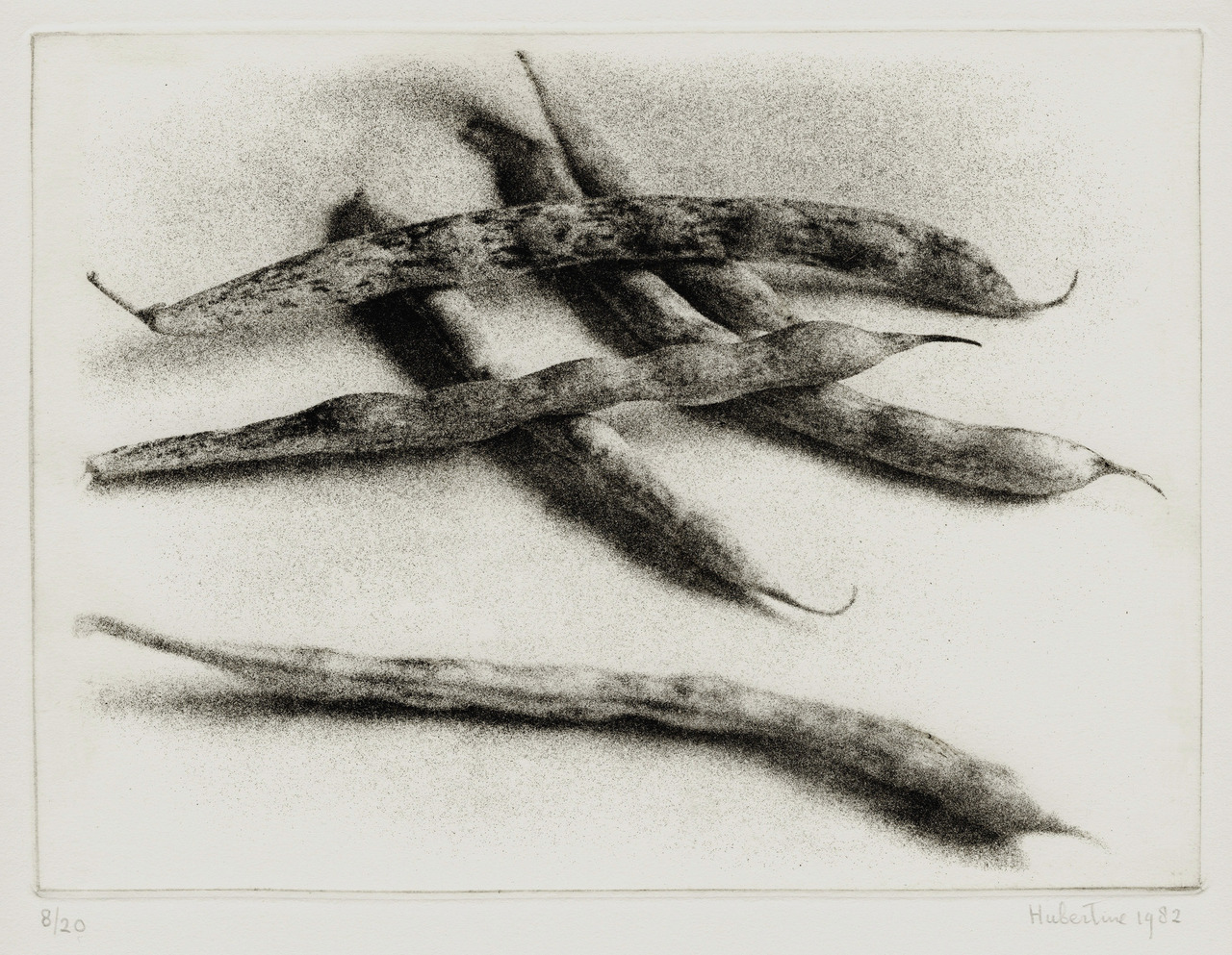 Calligraphy 1
