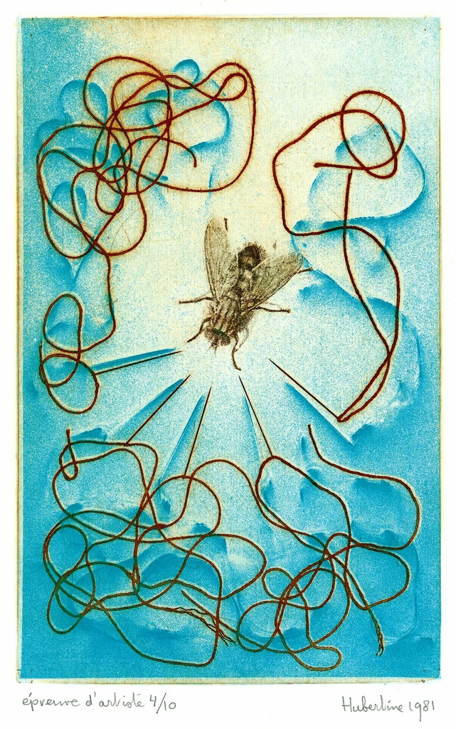 Trapped fly