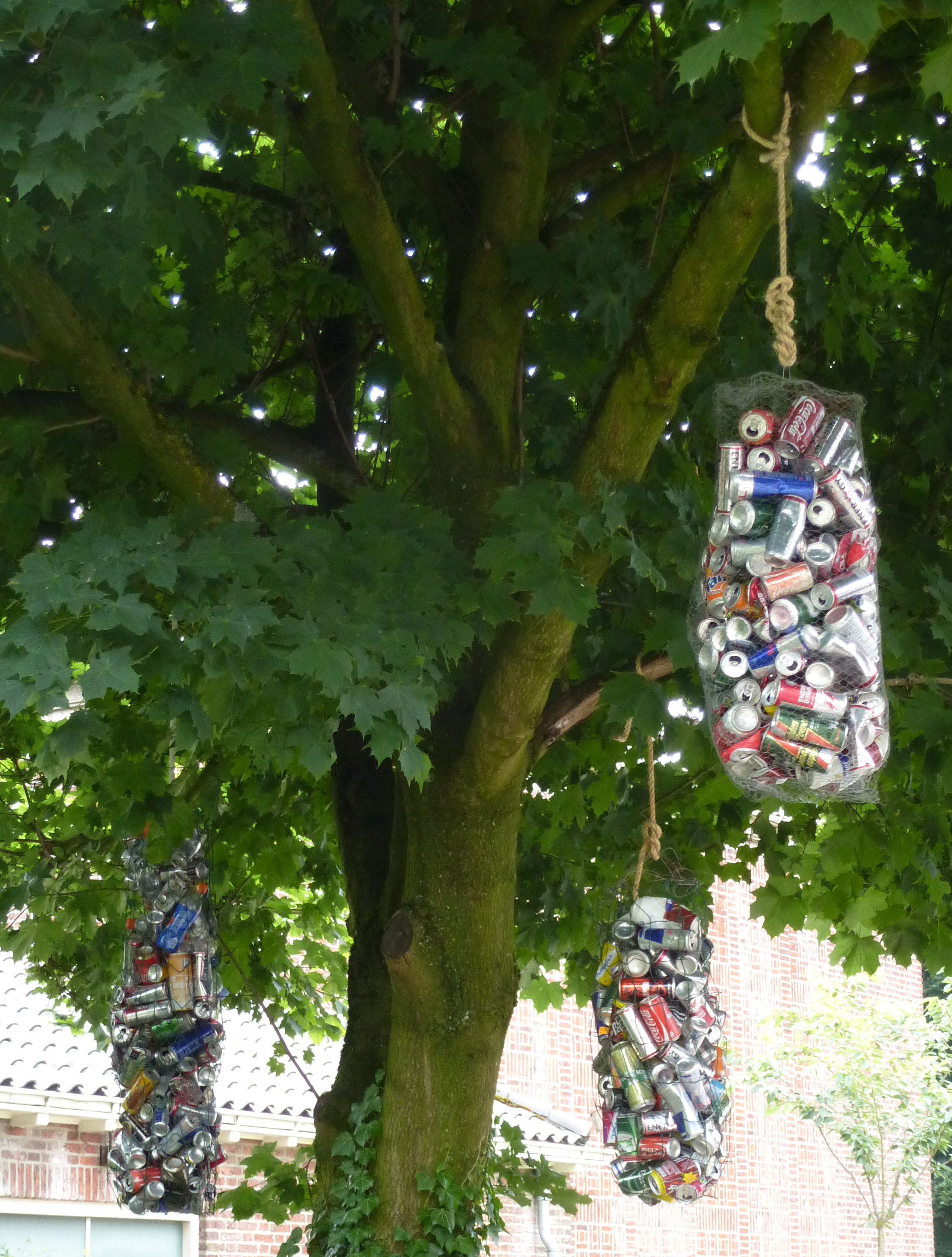 Blikkenboom