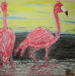 I know birds are also animals but they deserve a separate chapter on my site.