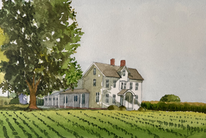 De laatste jaren ben ik de uitdaging aangegaan om mij op het aquarelleren toe te leggen. Geen gemakkelijke techniek want de uitdaging om met het wit van het papier te spelen en zo een nieuwe picturale uitdaging aan te gaan fascineert mij. De natuur, de fauna en flora alsook de onmiddellijke omgeving zijn mijn nieuwe inspiratiebron en het laat me tevens toe om meer in de natuur en open lucht te gaan werken.