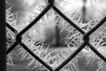 Winterfoto's