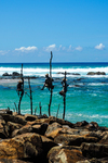 Foto's die typerend zijn voor Sri Lanka