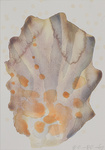 werken op papier 2008 (gemengde technieken