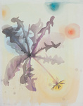 aquarellen en gouaches op papier