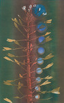 houtsneden 2011 grafiek