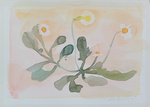 werken op papier 2011