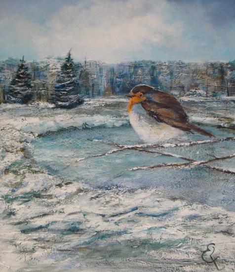 Roodborst in de winter