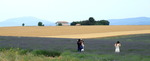 landschappen