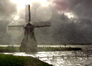 De foto's kunnen op alle formaten en op verschillende wijzen worden geprint. Fraai is een mat gelamineerde print op dibond (dus zonder glas en lijst). Informeer naar de mogelijkheden en prijzen!