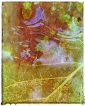Double Dutch, double exposure photography