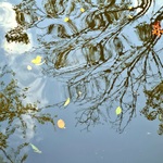 Waterscapes